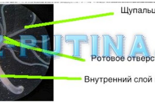 Кракен kr2connect co