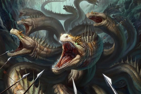 Kraken online