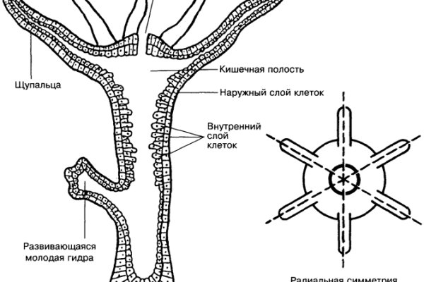 Супернет официальный сайт на русском