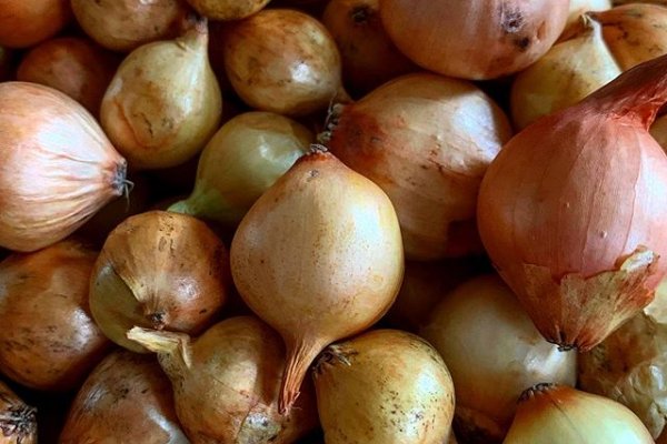 Кракен сайт купить счастье