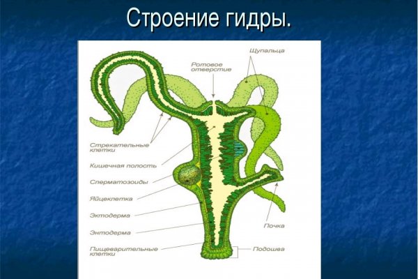 Аналог гидры