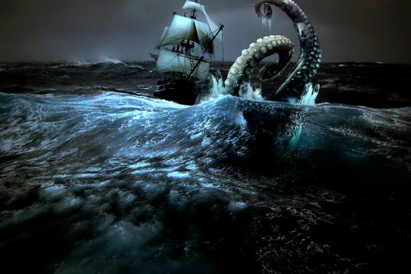 Kraken whitenet marketplace